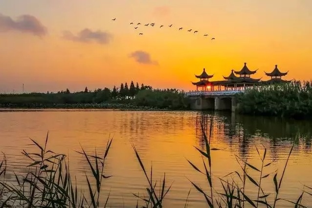 Hongze Lake Wetland